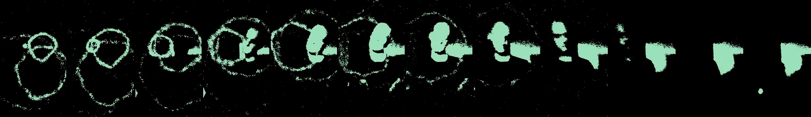 carry: the rings fade over the video