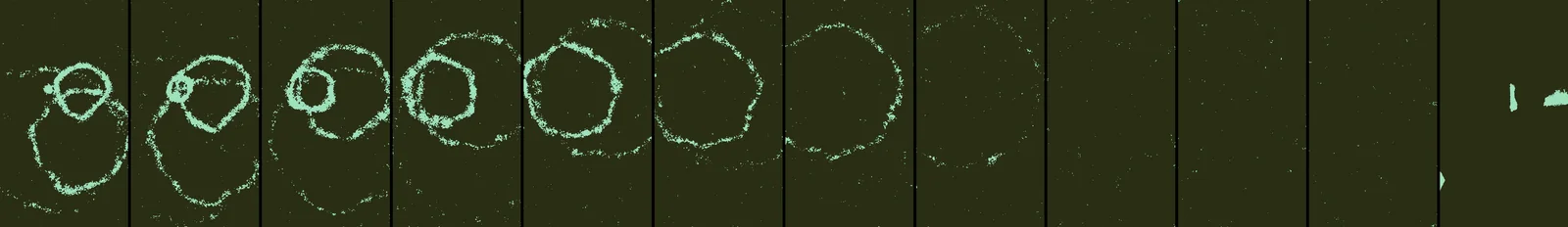 wait: the rings fade, then the video