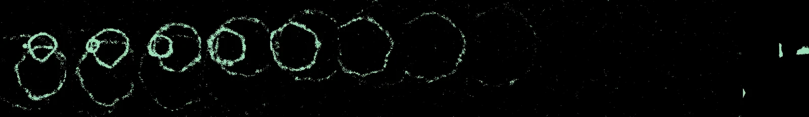 wait: the rings fade, then the video
