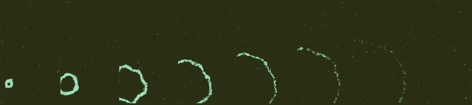one ring, one bar