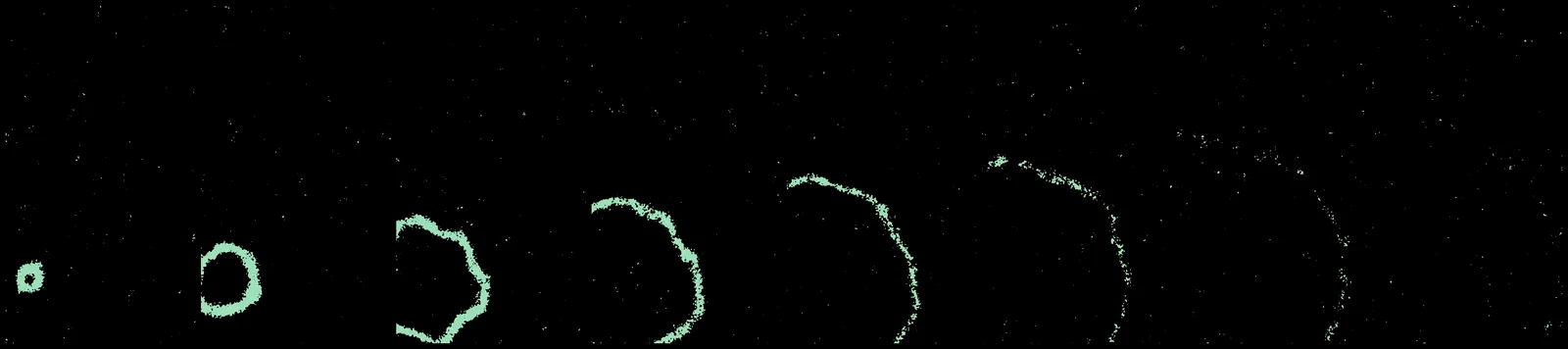 one ring, one bar